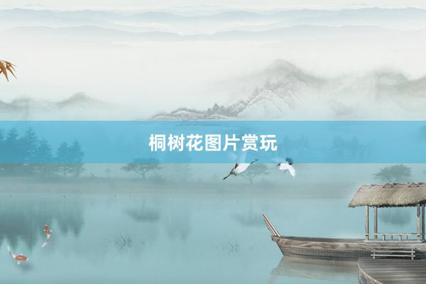 桐树花图片赏玩
