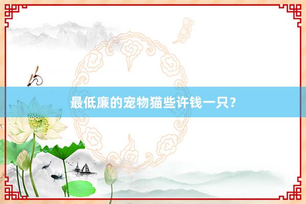 最低廉的宠物猫些许钱一只？